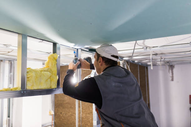 Best Commercial Insulation in Woodville, MS